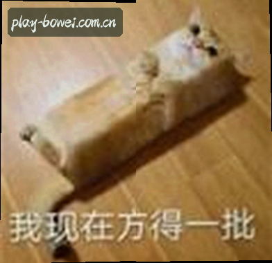孙磊
